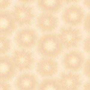 Обои Loymina Timeless TS1003