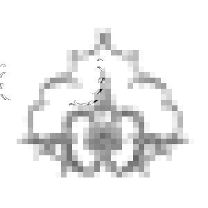 Узел RODECOR Вильчковский Ф3 66026RC