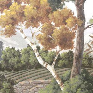 Американские обои Paul Montgomery Studio, коллекция Fine Painted Wallpapers, артикул Tour du Monde