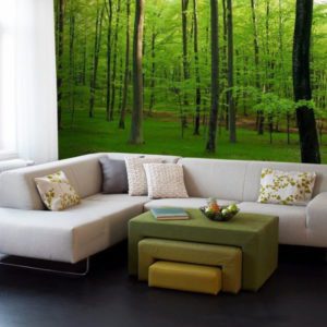 Панно Mr Perswall, коллекция Photo art, артикул P021301-0