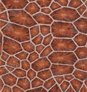 Панно De Gournay, коллекция Eclectic, артикул 0512-16