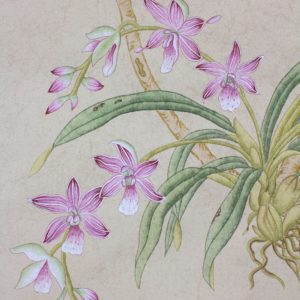 Американские обои Paul Montgomery Studio, коллекция Fine Painted Wallpapers, артикул Ashford Garden