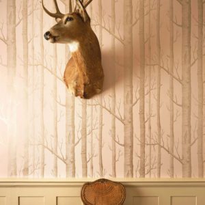 Английские обои Cole & Son, коллекция Whimsical, артикул 103/5024