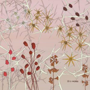 Итальянские обои Wall & Deco, коллекция Contemporary Wallpaper Collection, артикул WDNP2001