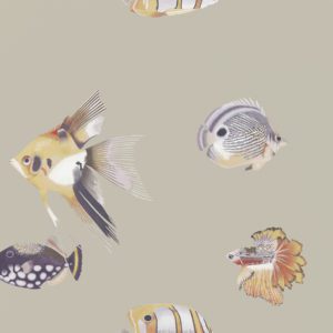 Английские обои Harlequin, коллекция Anthozoa, артикул 111647