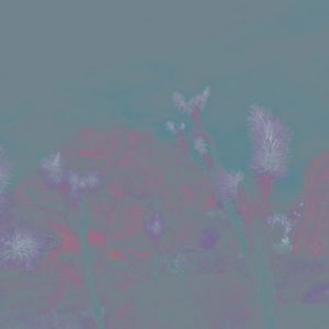 Панно Wall & Deco, коллекция Contemporary Wallpaper 2022, артикул WDJO2202