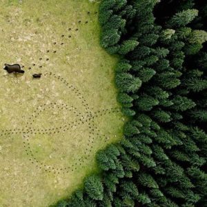 Итальянские обои Wall & Deco, коллекция Wet System 2020, артикул WETGO2002