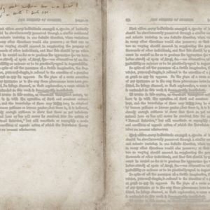 Панно Wall & Deco, коллекция 2015, артикул WDWL1502-A