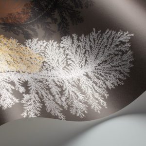 Английские обои Cole & Son, коллекция Fornasetti, артикул 77/4012