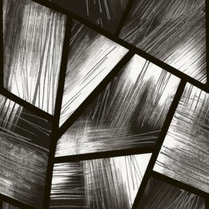 Английские обои Carl Robinson, коллекция Edition 12, артикул CR41600