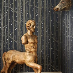 Английские обои Cole & Son, коллекция Whimsical, артикул 103/11053