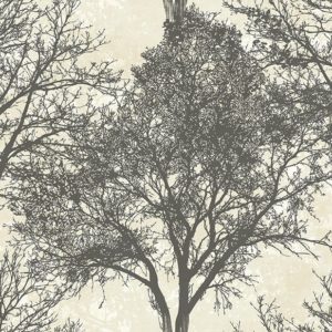 Английские обои Carl Robinson, коллекция Edition 12, артикул CR41200