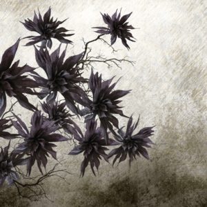 Панно Wall & Deco, коллекция 2014, артикул WDSB1401-A