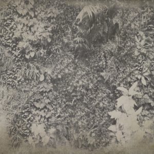 Панно Wall & Deco, коллекция 2015, артикул WDVG1502