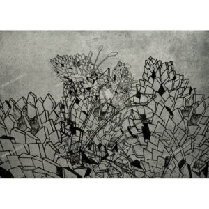 Итальянские обои Wall & Deco, коллекция 2012, артикул WDDR1202