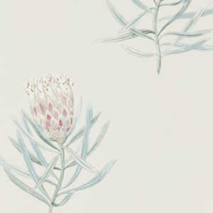 Английские обои Sanderson, коллекция Art of the Garden, артикул 216330