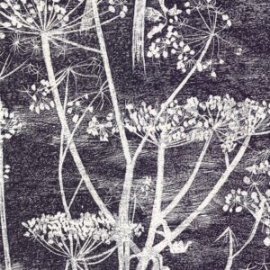 Английские обои Cole & Son, коллекция The Contemporary Collection, артикул 66-7046