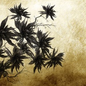 Панно Wall & Deco, коллекция 2014, артикул WDSB1402-A