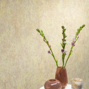 Бельгийские обои Omexco, коллекция Moonstone, артикул MNE8003