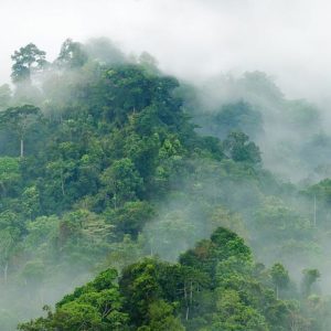 Панно Hygge Wall, коллекция Collection 3, артикул H10901