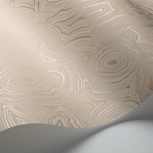 Английские обои Cole & Son, коллекция Fornasetti Senza Tempo, артикул 114/6011