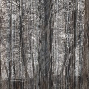 Панно Inkiostro Bianco, коллекция Vol.3.1, артикул INKGFAY1502