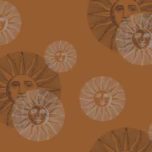 Английские обои Cole & Son, коллекция Fornasetti, артикул 77/9032