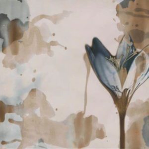 Итальянские обои Wall & Deco, коллекция Contemporary Wallpaper Collection, артикул WDDE2002