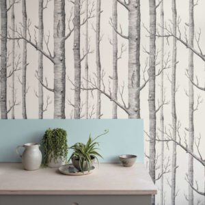 Английские обои Cole & Son, коллекция The Contemporary Collection, артикул 69-12147