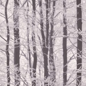 Английские обои Arthouse, коллекция Options 3, артикул 670200