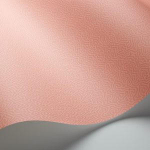 Английские обои Cole & Son, коллекция Landscape Plains, артикул 106/5075