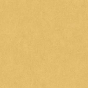 Французские обои Casadeco, коллекция Florecence, артикул FLRE82382520