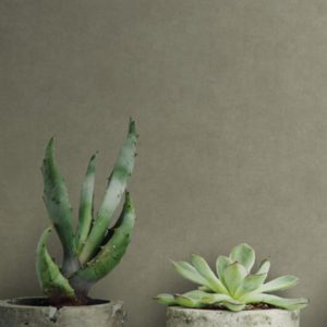 Шведские обои Midbec, коллекция Effekt, артикул 73000