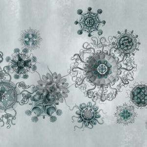 Панно Wall & Deco, коллекция Wet System 2015, артикул WET_ME1502