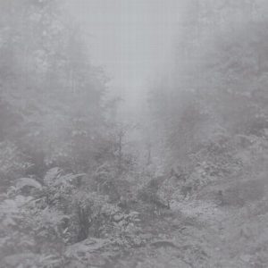 Панно Armani Casa, коллекция Precious Fibers 2, артикул GA49401