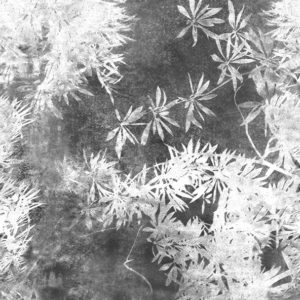 Панно Wall & Deco, коллекция Collection 2018, артикул WDVI1802