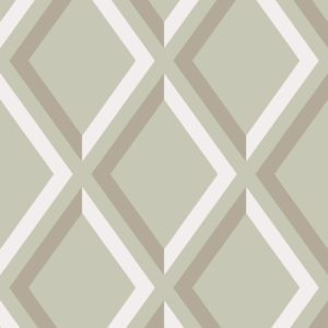 Английские обои Cole & Son, коллекция New Contemporary, артикул 66/3021