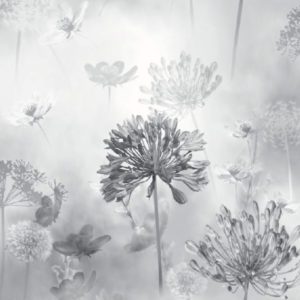 Английские обои Arthouse, коллекция Options 3, артикул 697401