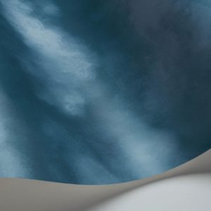 Английские обои Cole & Son, коллекция Historic Royal Palaces - Great Masters, артикул 118/6012