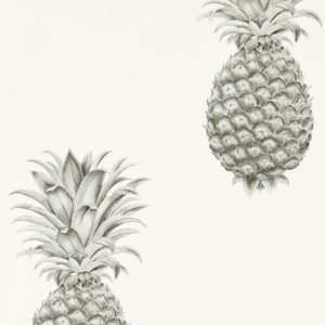 Английские обои Sanderson, коллекция Art of the Garden, артикул 216324