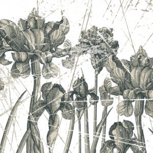 Панно Wall & Deco, коллекция 2011, артикул WDHE1101