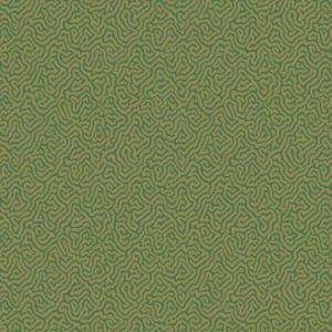 Английские обои Cole & Son, коллекция Curio, артикул 107/4022
