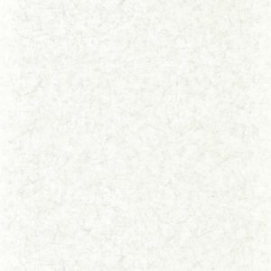 Английские обои Zoffany, коллекция Folio, артикул ZFOW312956