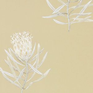 Английские обои Sanderson, коллекция Art of the Garden, артикул 216331