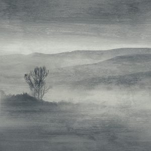 Панно Wall & Deco, коллекция Collection 2017, артикул WDOU1703