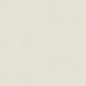 Немецкие обои Architector, коллекция Black & White, артикул ZN51810