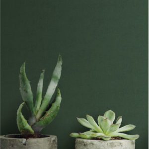 Шведские обои Midbec, коллекция Effekt, артикул 73023