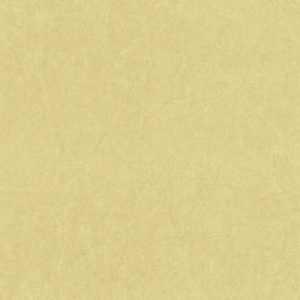 Французские обои Casadeco, коллекция Arts & Crafts, артикул ARCR82387245