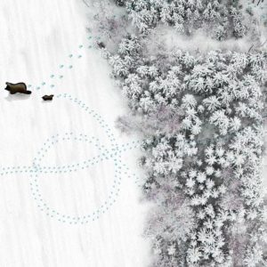 Итальянские обои Wall & Deco, коллекция Wet System 2020, артикул WETGO2001