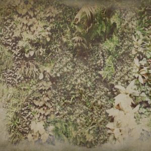 Панно Wall & Deco, коллекция 2015, артикул WDVG1503